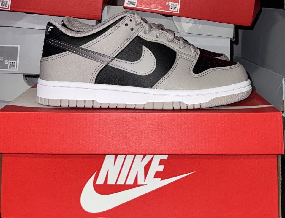 Dunk Low "Steel Grey"